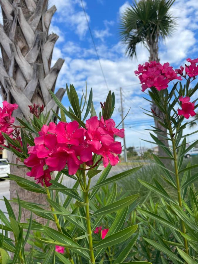 House 3 Blocks To The Beach Panama City Beach Ngoại thất bức ảnh